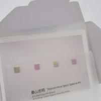 桑山忠明 Titanium-Art as Space,Space as Art tadaaki kuwayama