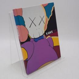 Kaws one