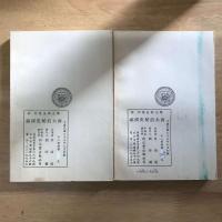 歷史小説　西太后秘史演義（上下）