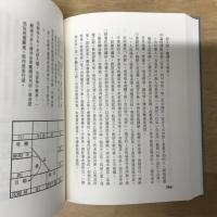 紫微進階