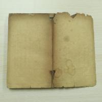 新撰初學論說指南