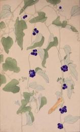 杉浦非水 非水百花譜 分売73：あをつゞらふぢ（青葛藤）