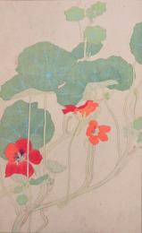 杉浦非水 非水百花譜 分売47：のうぜんはれん（凌霄葉蓮）