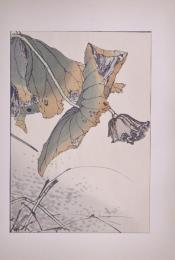景年花鳥画譜 分売：34