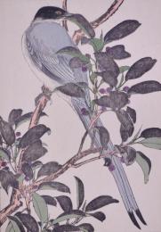 景年花鳥画譜 分売：29