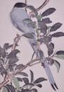 景年花鳥画譜 分売：29