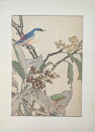 景年花鳥画譜 分売：33