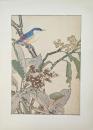 景年花鳥画譜 分売：33