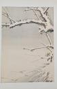 景年花鳥画譜 分売：4 のもう1枚