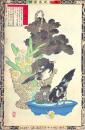 楳嶺花鳥画譜　初版分売 ：冬之部より 甘籃(はぼたん)・鵲(かささぎ)