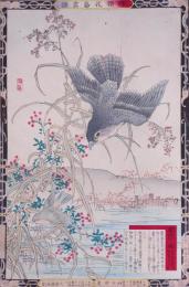 楳嶺花鳥画譜 初版分売 冬の部4  蘆 (あし)・鷂 (はいたか)