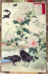 楳嶺花鳥画譜 初版分売  秋の部2 槿花 (むくげ)・烏