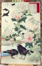 楳嶺花鳥画譜 初版分売  秋の部2 槿花 (むくげ)・烏