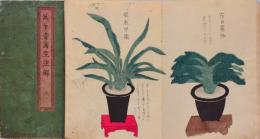 萬年青寫生注解 上下 2冊