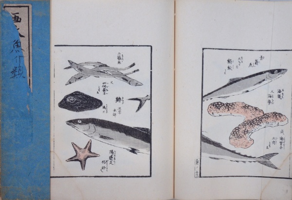 浮世絵派画集 第163図 落雷圖 | 英一蝶筆 | 審美書院 | ¥22,000 - 日本