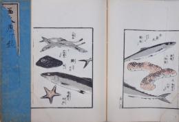 画本早まなび  魚介類