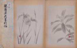 観爾草花墨影帖