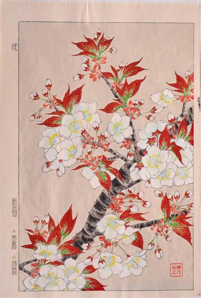 木版画◇なたね / 河原崎奨堂◇額装 大正ロマン 季節の花 版画