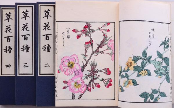 草花百種 再版(幸埜楳嶺) / 赤尾照文堂 / 古本、中古本、古書籍の通販