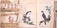 写生花鳥　極彩色