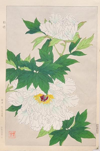 花こよみ 分売 牡丹 3 河原崎奨堂 赤尾照文堂 古本 中古本 古書籍の通販は 日本の古本屋 日本の古本屋 花こよみ 分売 牡丹 3 河原崎奨堂 赤尾照文堂 古本 中古本 古書籍の通販は 日本の古本屋 日本の古本屋