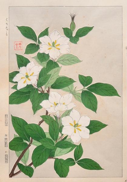 浮世絵模様集(楠瀬日年) / 赤尾照文堂 / 古本、中古本、古書籍の