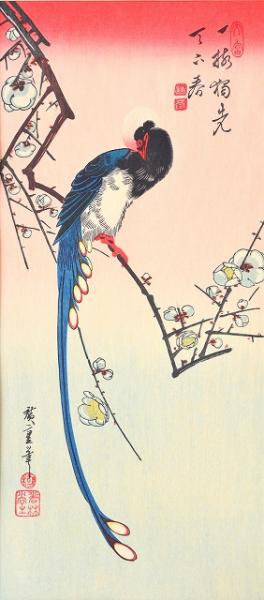 広重短冊集 分売 ： 白梅に三光鳥(歌川広重) / 赤尾照文堂