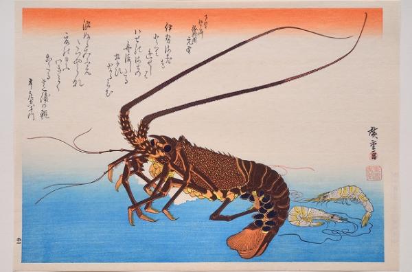 広重魚づくし 分売 ： 伊勢海老・芝蝦 （イセエビ・シバエビ）(歌川