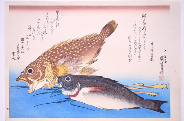 【広重】名作「魚づくし 鯉」浮世絵 木版画 永寿堂版・山庄版コレクション 広重 広重初代｢魚づくし 鯉【復刻版】｣ | 山田書店美術部オンラインストア