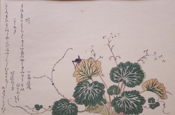 大日本美術図譜(小杉榲邨, 横井時冬 著) / 赤尾照文堂 / 古本 大日本美術図譜(小杉榲邨, 横井時冬 著) / 赤尾照文堂 / 古本