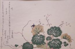 歌麿 虫えらみ 分売7  蚓・こうろぎ
