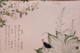 歌麿 虫えらみ 分売8  蓑虫・兜虫
