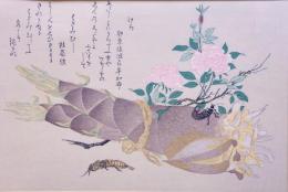 歌麿 虫えらみ 分売10  けら・はさみむし