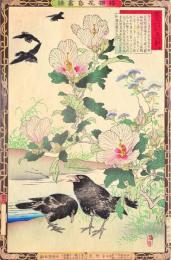 楳嶺花鳥画譜　初版分売 ： 秋之部   槿花 (むくげ)・烏