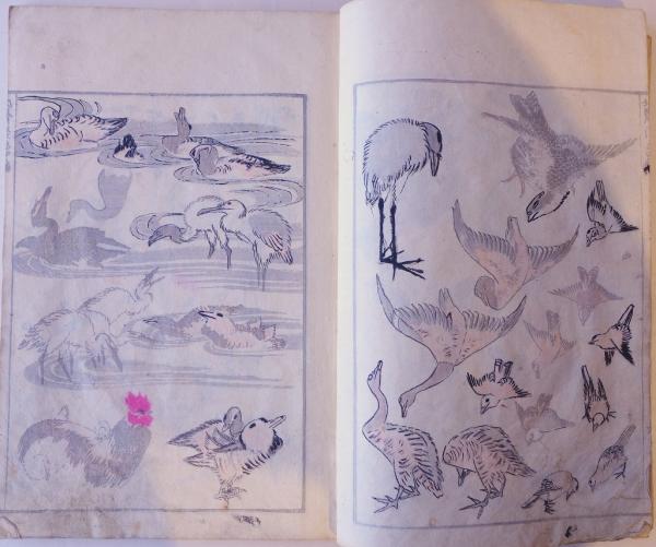 葛飾為一遺墨 北斎漫画 全15冊(葛飾北斎筆) / 古本、中古本、古