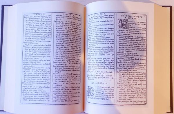 フランス学士院本 羅葡日対訳辞書 5193MEHfWCL.jpg_BO30,255,255,