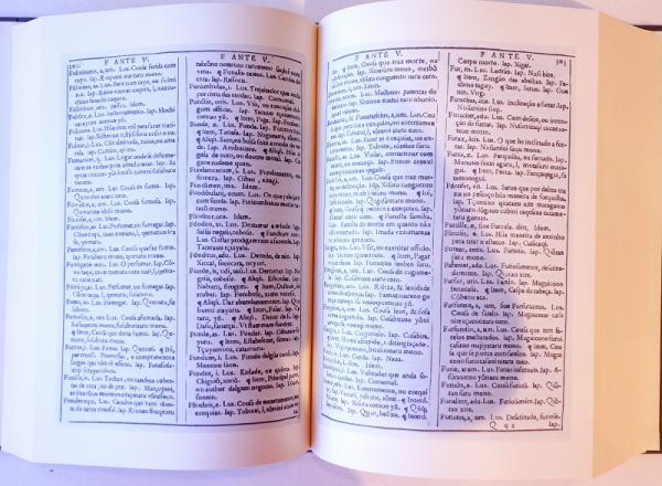 羅葡日対訳辞書 DICTIONARIVM LATINO LVSITANICVM AC IAPONICVM