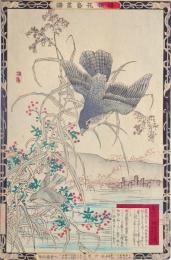 楳嶺花鳥画譜　初版分売  ： 冬之部   蘆 (あし)・鷂 (はいたか)