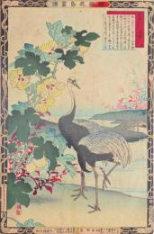 楳嶺花鳥画譜　初版分売 ：秋之部  草綿 (わた)・真鶴 (まなづる)