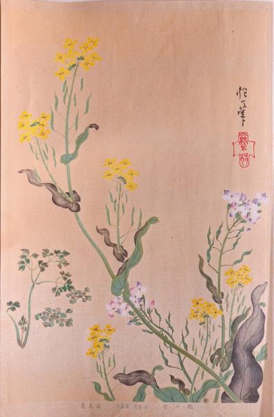 琳派百華譜 (18) 分売(竹下弘 編) / 赤尾照文堂 / 古本、中古本