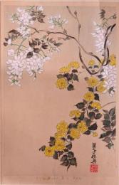 琳派百華譜 春 分売   始興筆：白藤、八重山吹