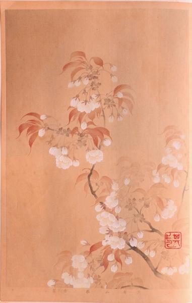 琳派百華譜 春 分売 其一：山桜(竹下弘編) / 赤尾照文堂 / 古本、中古本、古書籍の通販は「日本の古本屋」