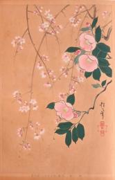 琳派百華譜 春 分売   抱一筆：糸桜、わびすけ