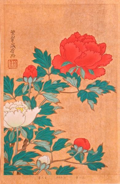 琳派百華譜 春 分売 乾山筆：紅白牡丹(竹下弘編) / 赤尾照文堂 / 古本、中古本、古書籍の通販は「日本の古本屋」