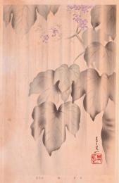 琳派百華譜 夏 分売   其一：青桐