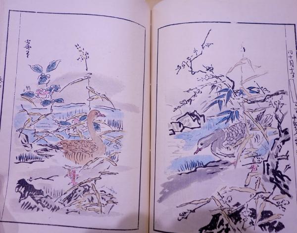探幽縮図 聚珍画譜 上中下(狩野応信) / 赤尾照文堂 / 古本、中古 探幽縮図 聚珍画譜 上中下(狩野応信) / 赤尾照文堂 / 古本、中古