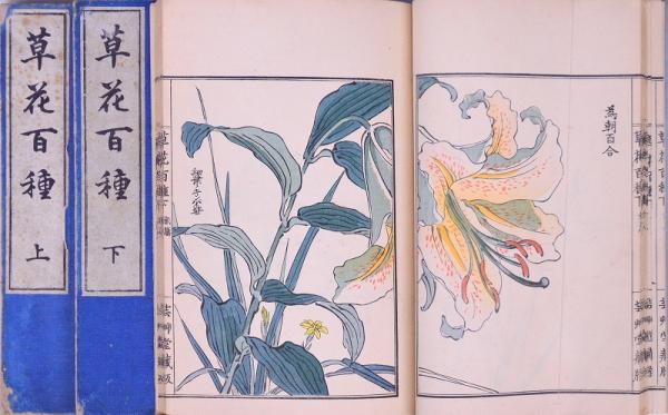草花百種 幸埜楳嶺 山田芸艸堂 和装本 明治34年 彩色木版画譜 図譜 草花百種 幸埜楳嶺 山田芸艸堂 和装本 明治34年 彩色木