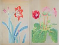 洋草花譜  Yoso Kafu