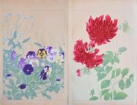洋草花譜  Yoso Kafu