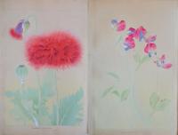 洋草花譜  Yoso Kafu